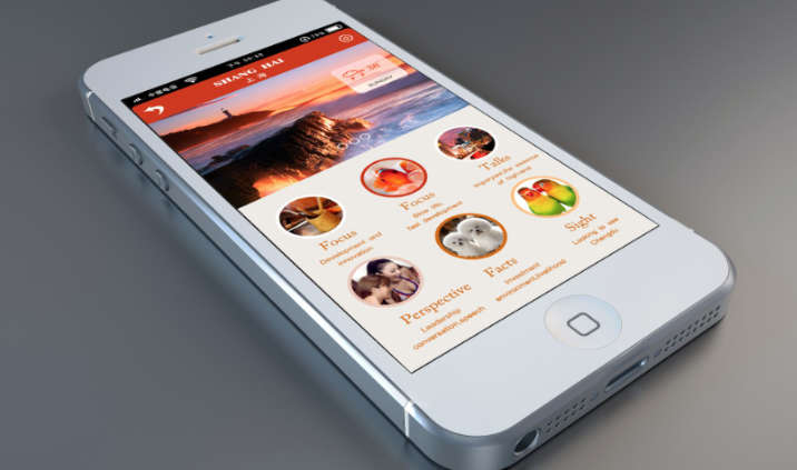 网站定制开发/门户网站/博客网站/企业官网/医疗网站 自适应/手机端